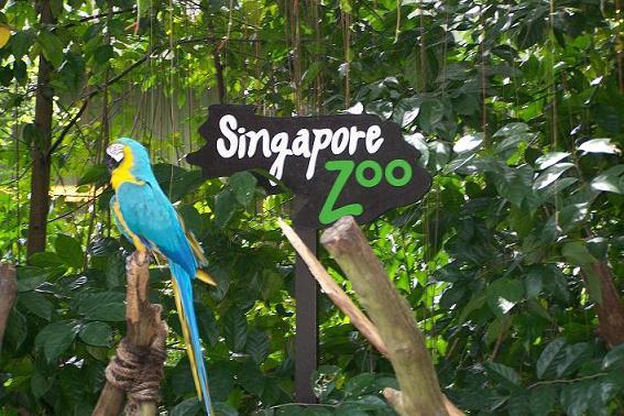 Singapore Zoo