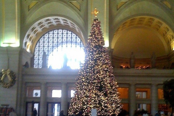 Union Station Christmas Tree Washington DC