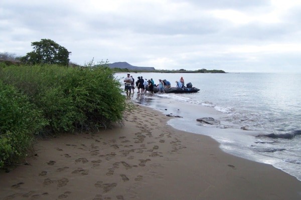 Floreana Galapagos Islands