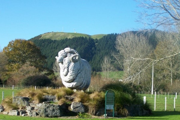 giant sheep