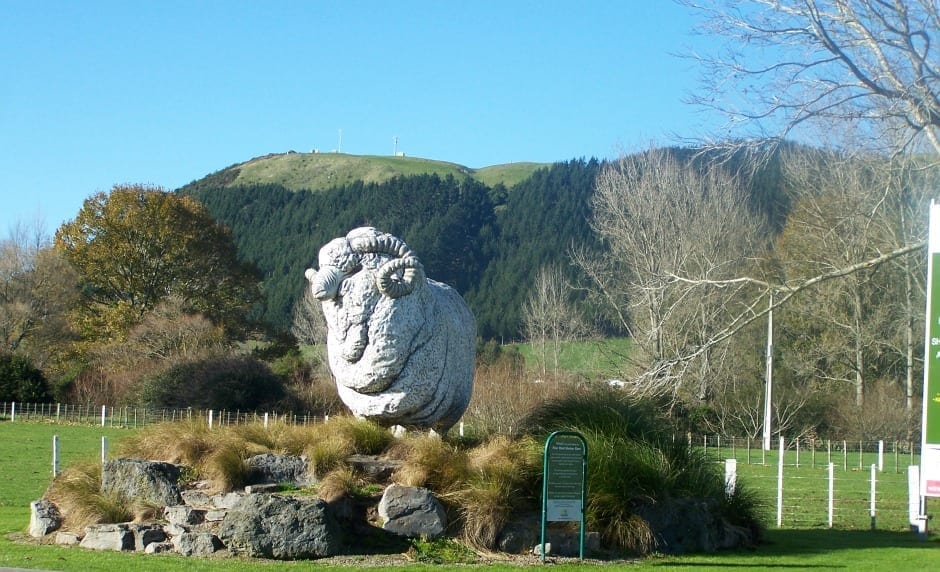agrodome sheep farm tour