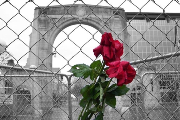 Earthquake in Christchurch