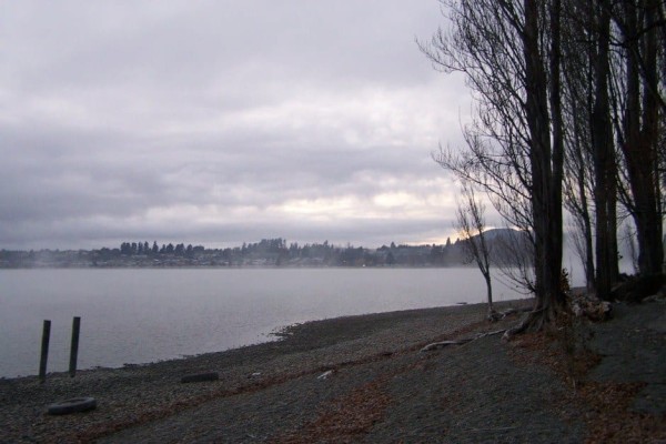 Wanaka Fog