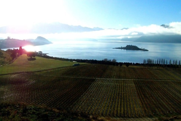 Rippon Winery, New Zealand