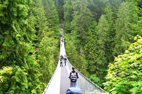 Capilano Suspension Bridge