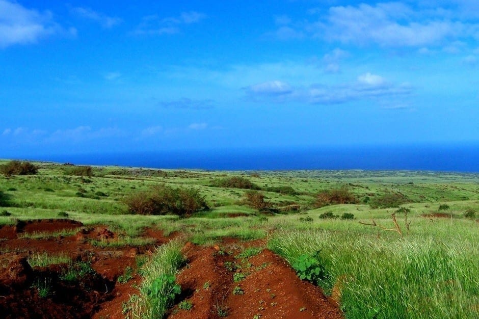 Lanai windmills