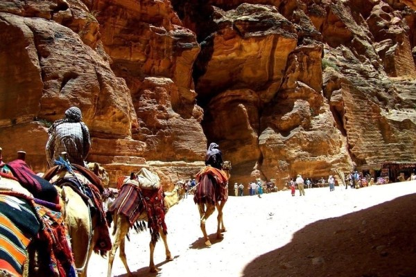 Petra Camel Caravan