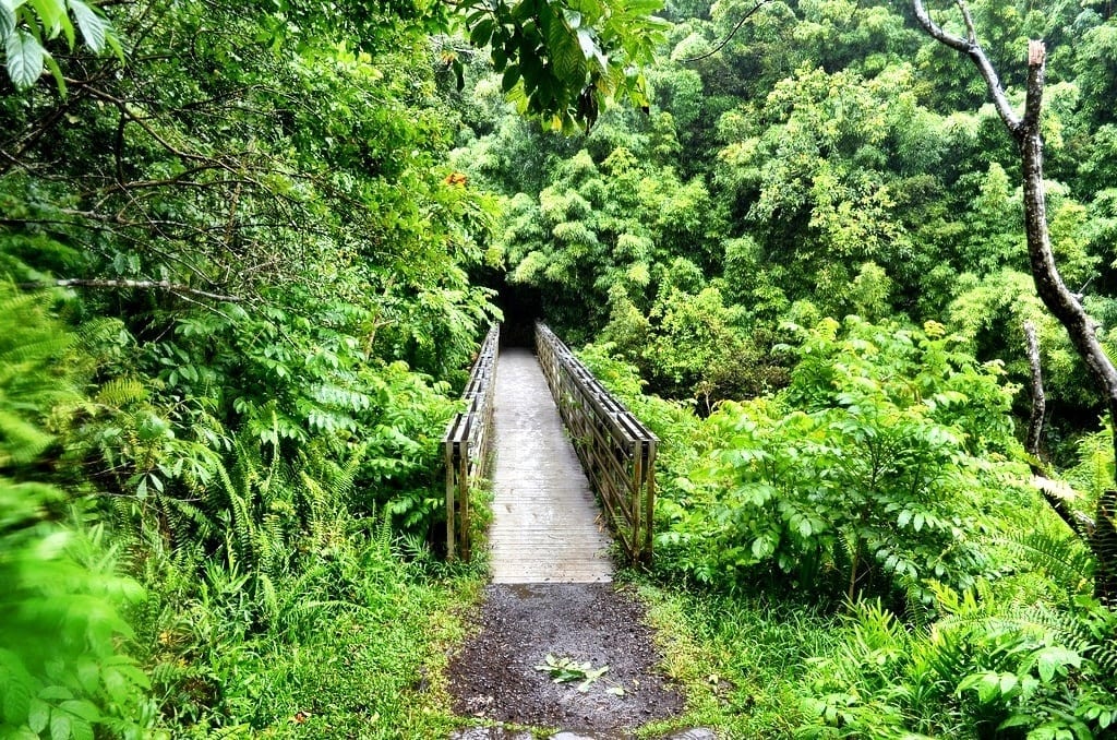 Pipiwai Trail Maui
