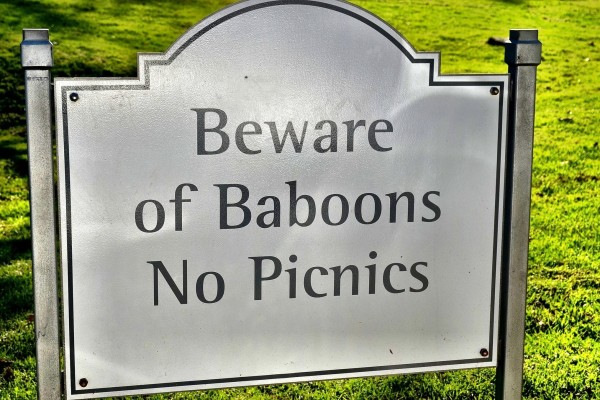 Baboon sign South Africa