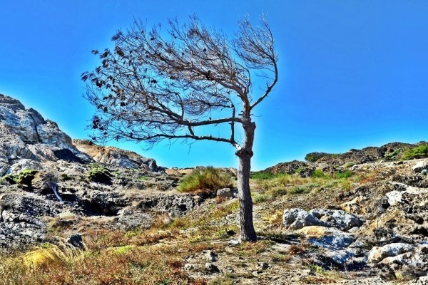 Cap de Creus Natural Park, Spain