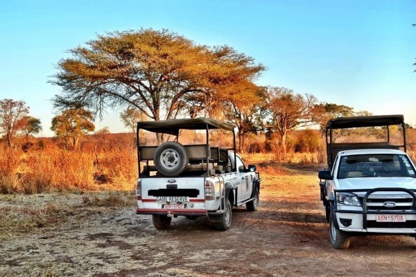 Safari jeep Africa