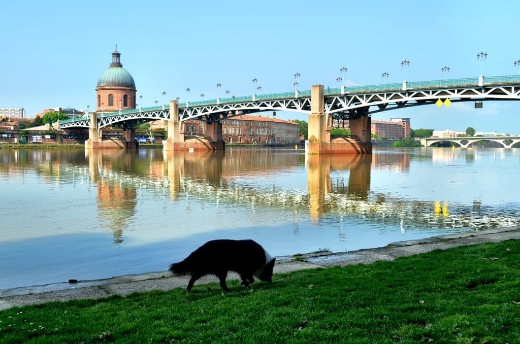 toulouse river