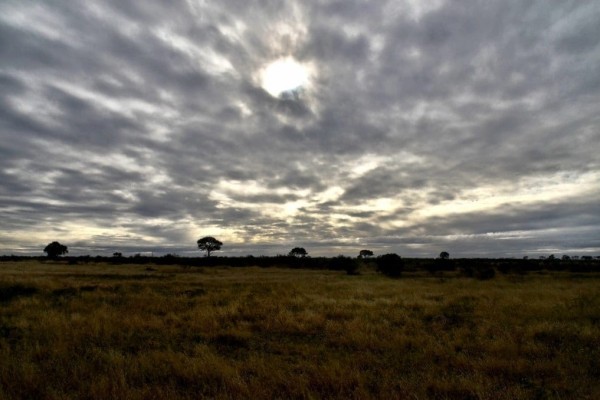 safari south africa