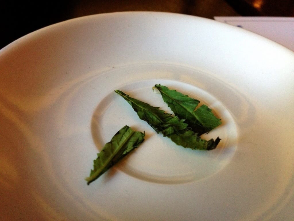 Peumayen Santiago Chile