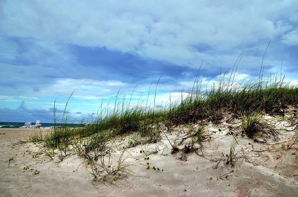 Amelia Island, Florida
