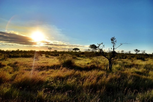Kruger Africa Sunset