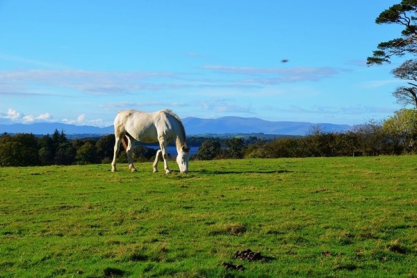 Wild Atlantic Way Ireland