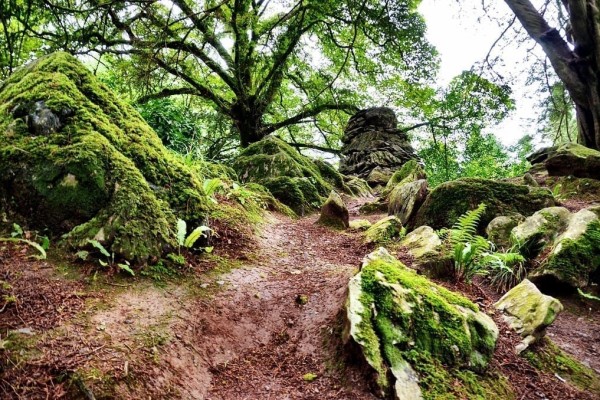 Blarney Castle Ireland