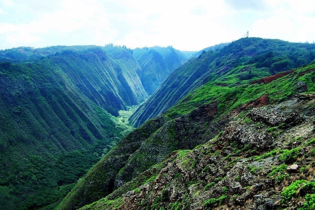 Naio Gulch, Lanai Hawaii