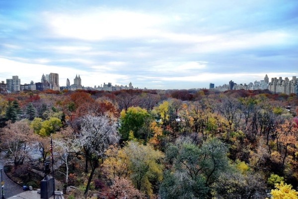 New York City Central Park
