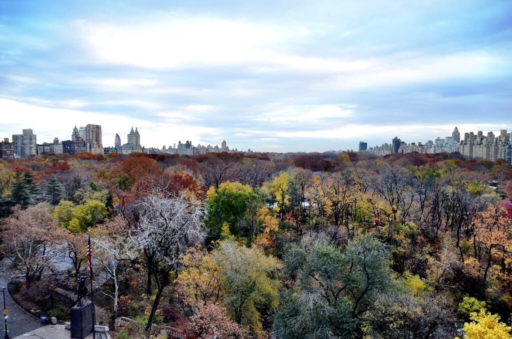 New York City Central Park