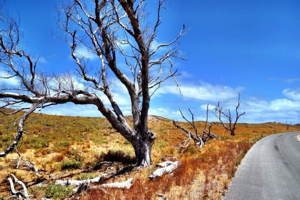 Rottnest Island, Western Australia