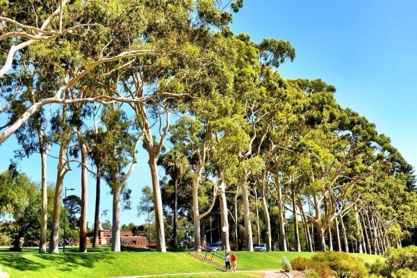 Kings Park Perth Australia