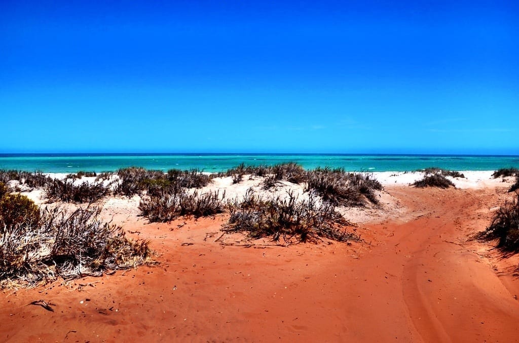 Shark Bay Australia