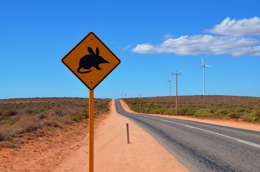 Bilby sign Australia