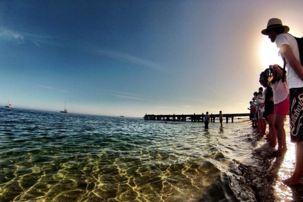 Monkey Mia Australia