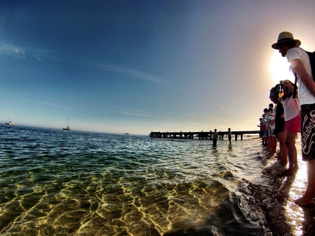 Monkey Mia Australia