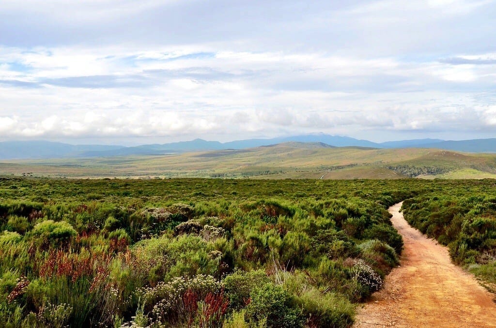 South Africa Overberg
