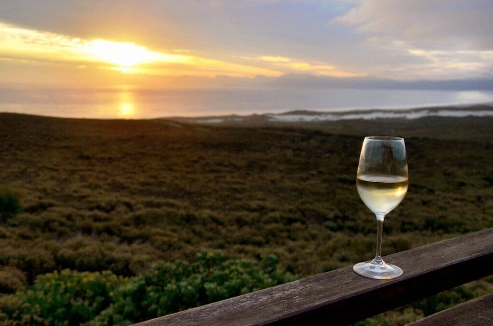 Wine Stellenbosch Overberg South Africa