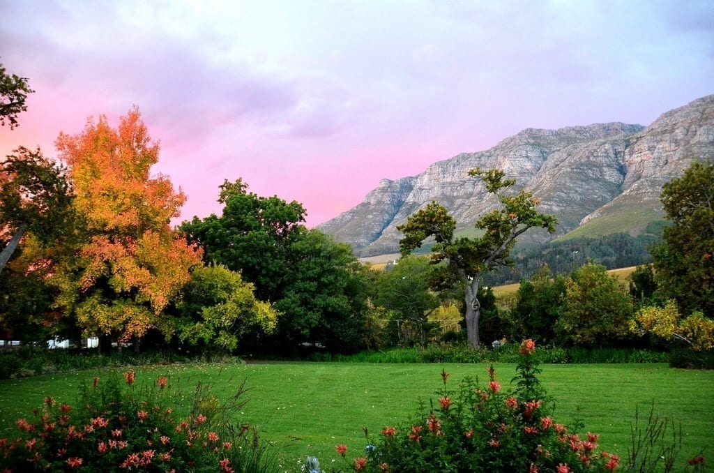 Dornier Winery Stellenbosch South Africa