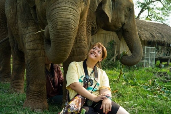 Elephant rescue Thailand