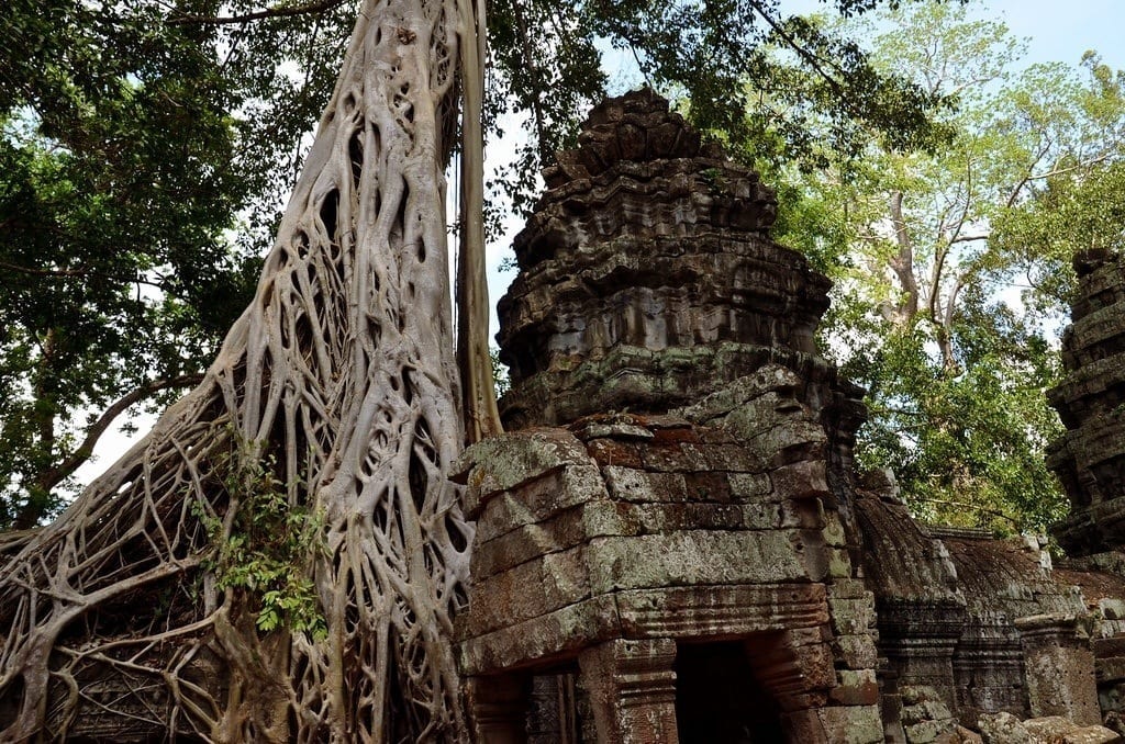 Ta Prohm Siem Reap Cambodia