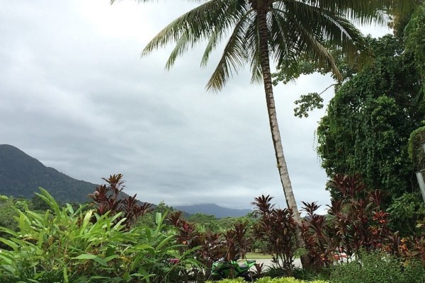 Cape Tribulation Queensland Australia