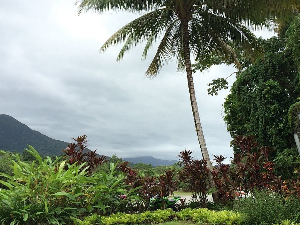 Cape Tribulation Queensland Australia