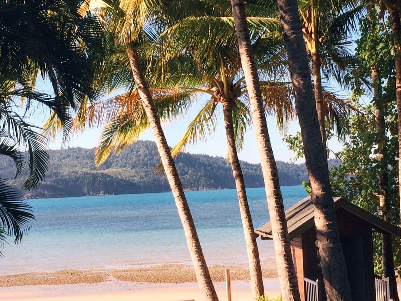 Hamilton island Queensland Australia