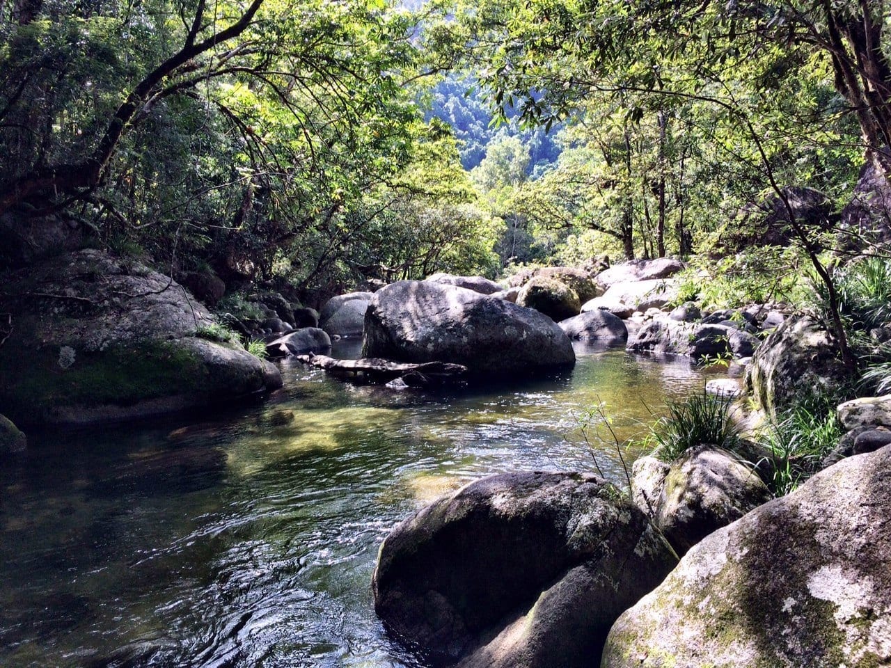 Mossman Gorge Queensland Australia