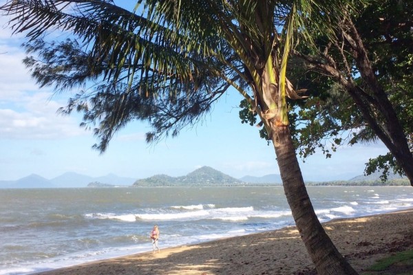 alm Cove Queensland Australia