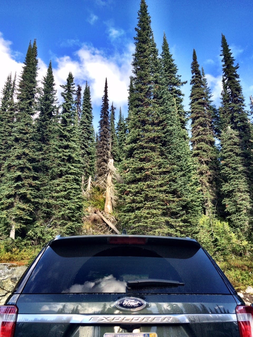 Alberta Canada
