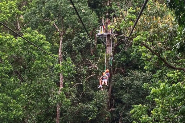 Daintree Cape Tribulation Queensland Australia