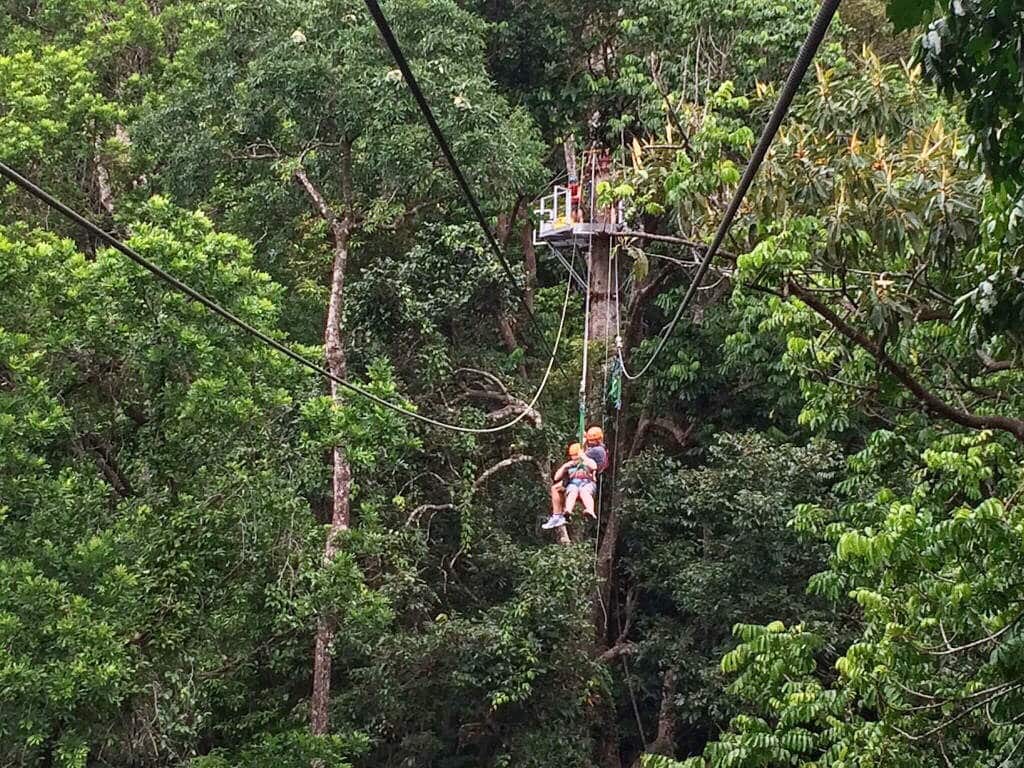 Daintree Cape Tribulation Queensland Australia