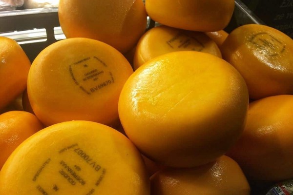 Cheese Amsterdam Netherlands