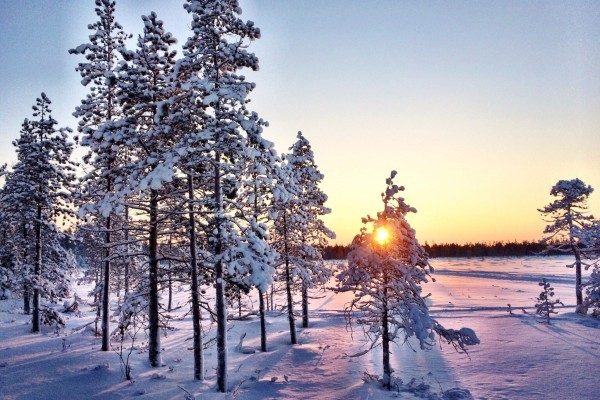Ranua Lapland Finland