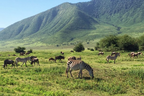 Ngorongoro Crater Tanzania