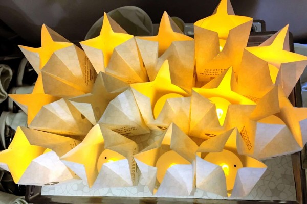 Turkish Airlines Business Class