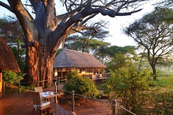 Sanctuary Retreats Swala Campa Tanzania