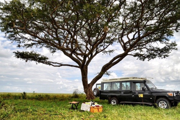 Serengeti Tanzania